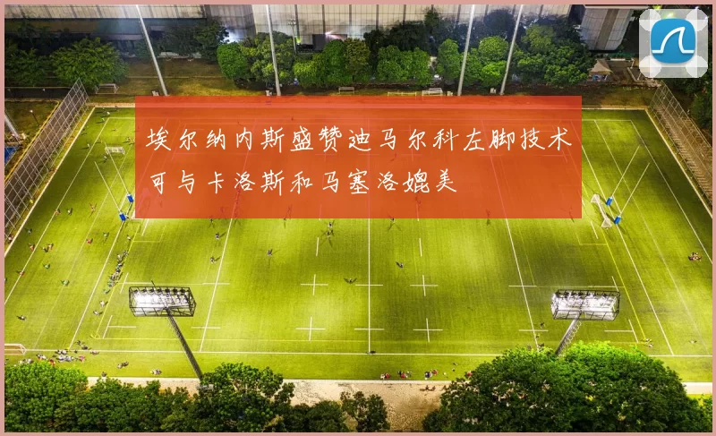 埃尔纳内斯盛赞迪马尔科左脚技术可与卡洛斯和马塞洛媲美